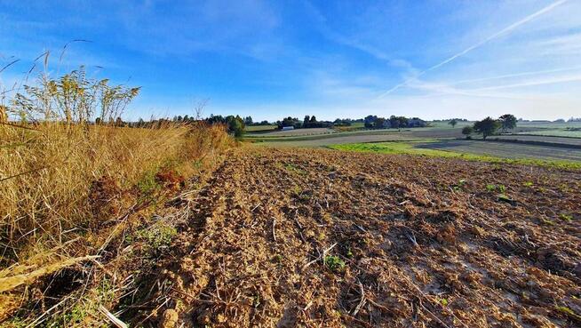 Działka 53ar w doskonałej cenie - blisko Nałęczowa