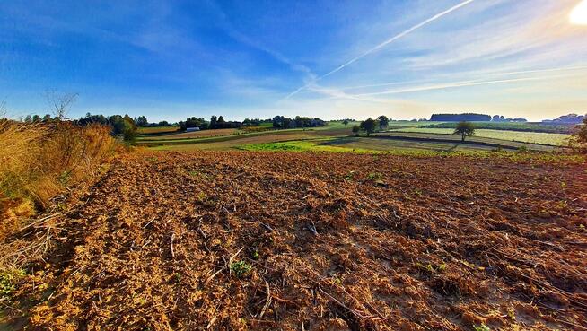 Działka 53ar w doskonałej cenie - blisko Nałęczowa