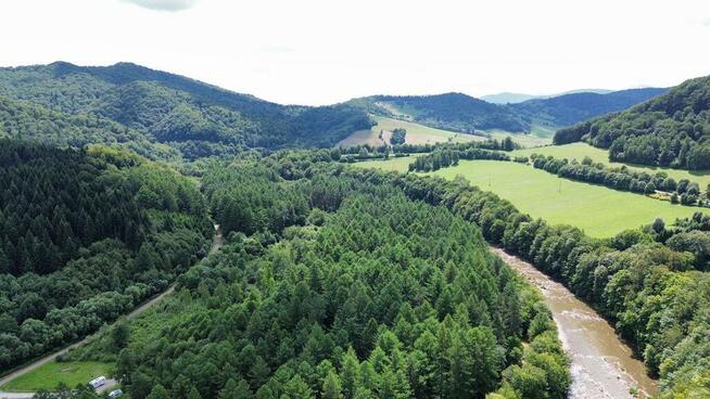 Atrakcyjna działka budowlana - Bukowiec!