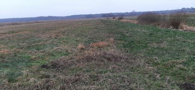 SPRZEDAM DZIALKI ROLNE