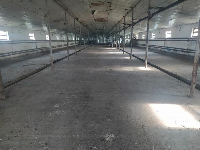 Działka inwestycyjna na sprzedaż. Magazyn, hala produkcyjna,