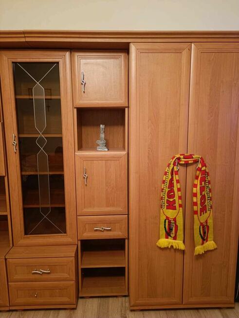 Meblościanka z drewna