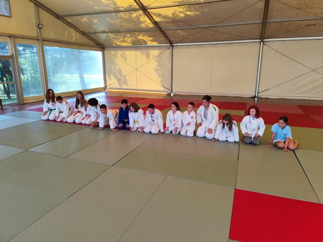 Nowa przygoda z Judo.
