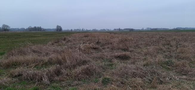 SPRZEDAM DZIALKI ROLNE