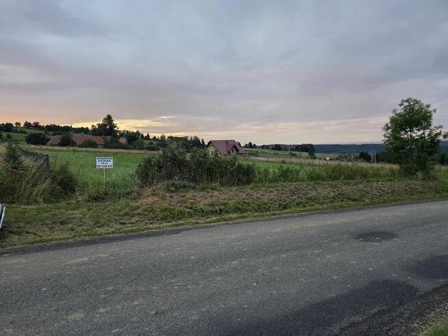 Działka Niedźwiedzica