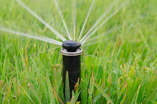 Kompleksowe usługi ogrodnicze