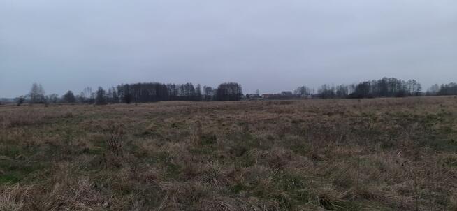 SPRZEDAM DZIALKI ROLNE