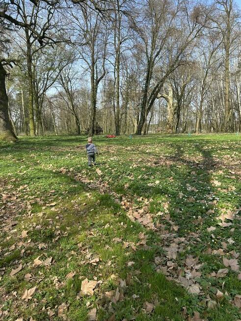Wyjątkowa działka z parkiem 5,5 ha