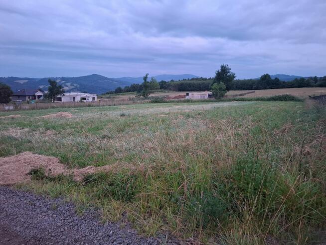 Działka Niedźwiedzica