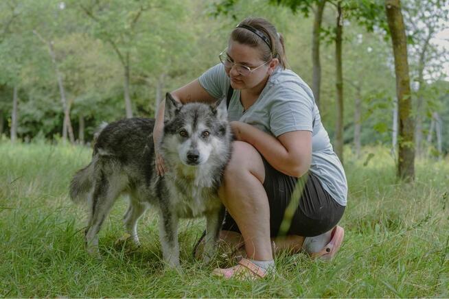 Max-starszy pies czeka na odpowiedzialny dom-adopcja