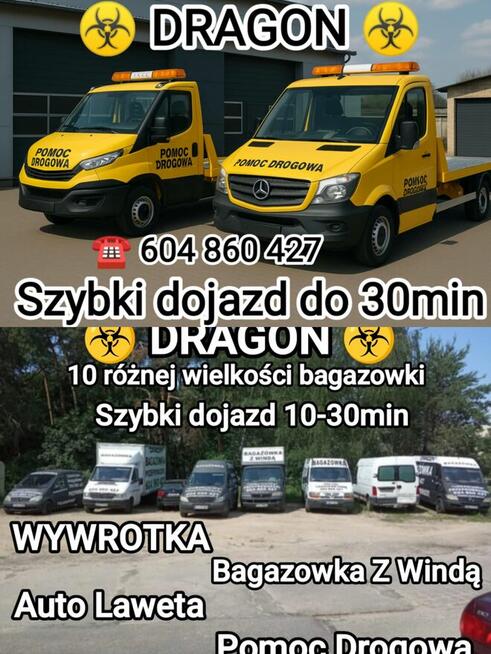 DRAGON PRZEPROWADZKI Nowa Sol, taxi bagażowe, Transport