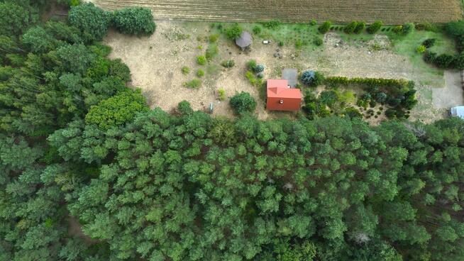 Dom 75 m² przy lesie w małej wsi - Modzele