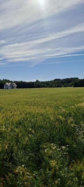 Działka budowlana na Roztoczu. 10km od Zamościa