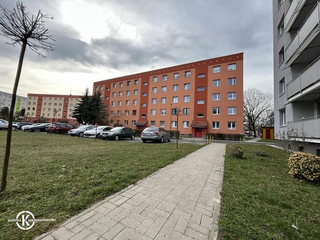 Do wynajęcia mieszkanie 2-pokojowe w Chojnowie