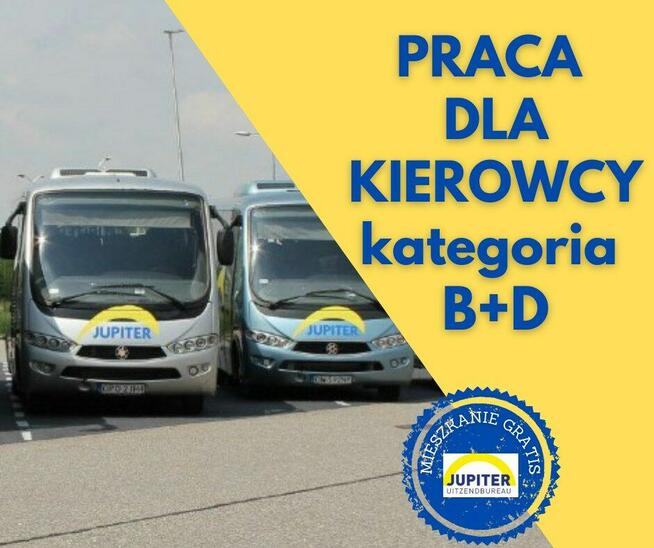 Kierowca autobusu kat D