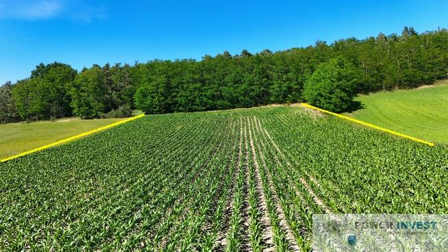 Kaskadowa działka 9 000 m² przy lesie