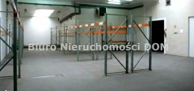 Lokal użytkowy Częstochowa Tysiąclecie