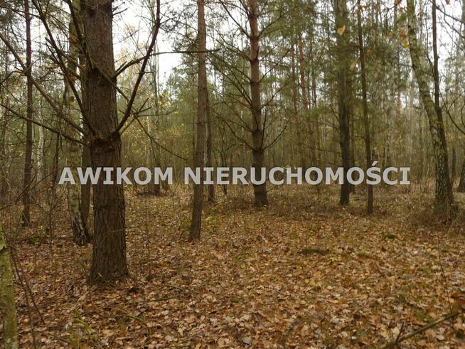 Działka rekreacyjna Wiskitki Antoniew