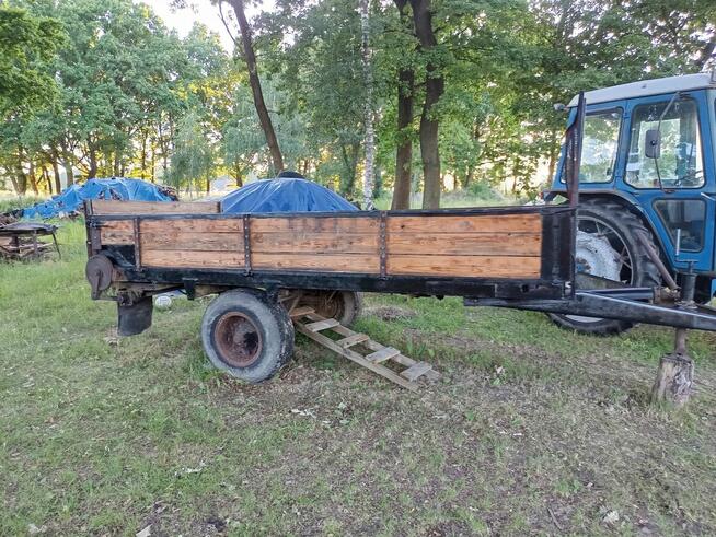 Przyczepa jedno osiowa rozszutnik