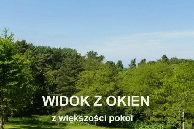 Willa Malinka, spokojna okolica, widok na las. WOLNE POKOJE