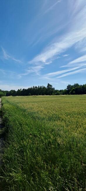 Działka budowlana na Roztoczu. 10km od Zamościa