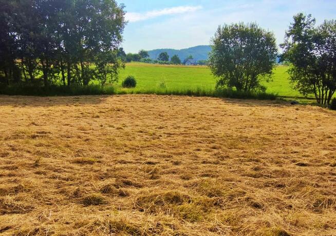 OKAZJA!Działka budowlana 9,61 ar – Srogów Górny, gmina Sanok