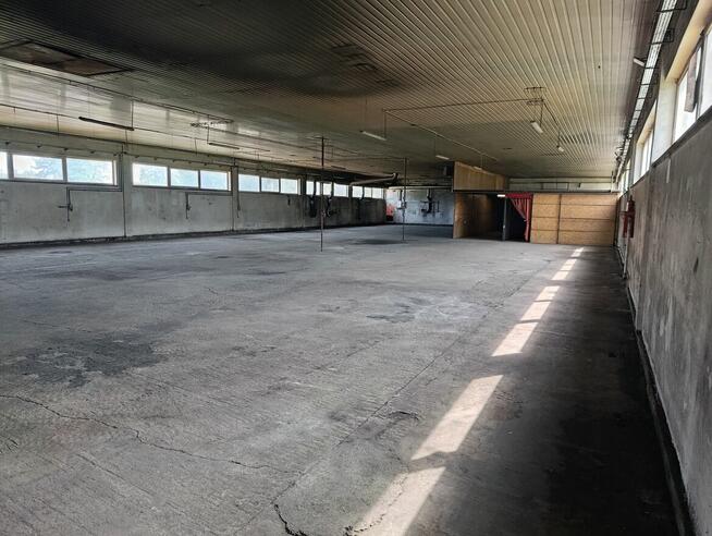 Hala produkcyjna 1000m2 Bochnia - Brzesko