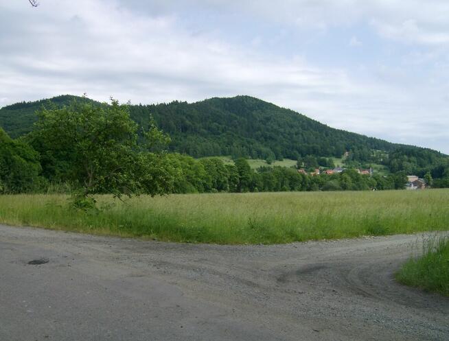 Przyjaźń niepełnosprawnej dwójki! Zaryzykujmy oboje!