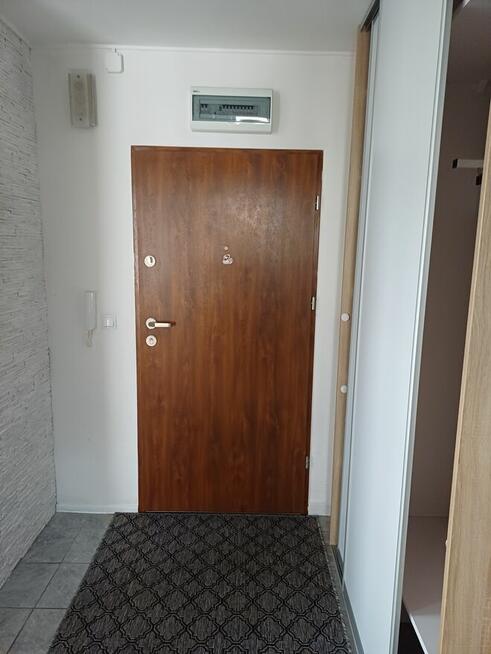 Do wynajęcia mieszkanie