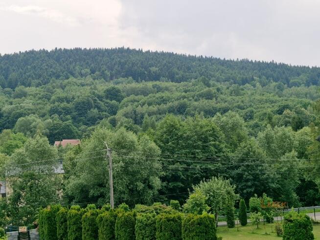 Dom Mucharz okolica