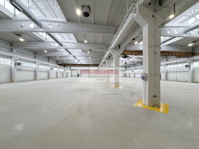 HALA produkcyjna od 1000 m2 OLKUSZ