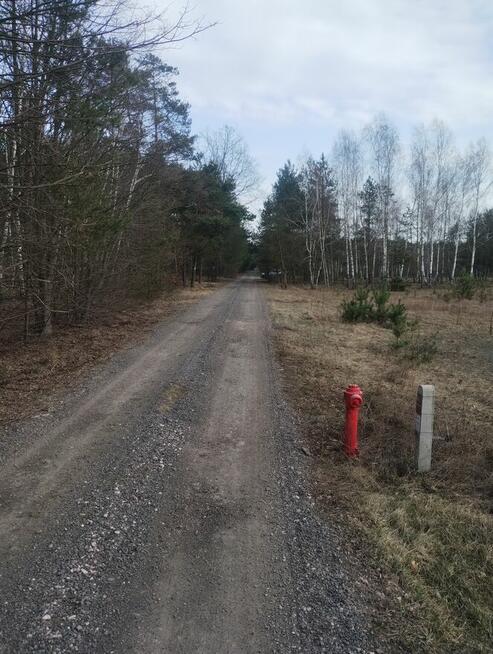 Sprzedam działkę rolno leśna gmina Brochów 1600m2