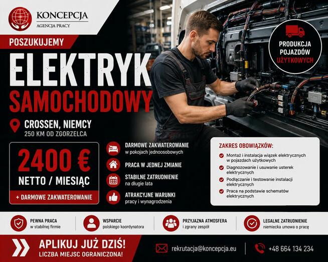Elektryk samochodowy (m,k,i)- Werdau- SS-DPKH-DE