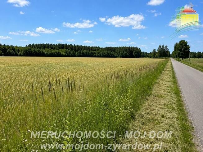 Działka rolna Studzieniec gm. Puszcza Mariańska