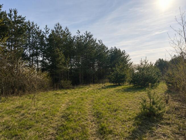 Działki pod Łuktą | Mazury | MPZP | blisko jezior