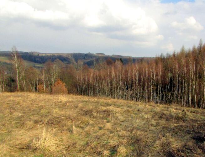 Urzekające siedlisko na dużej działce w Laskówce!