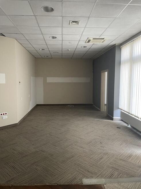Lokal Handlowy/Usługowy Budynek Radisson Garbary