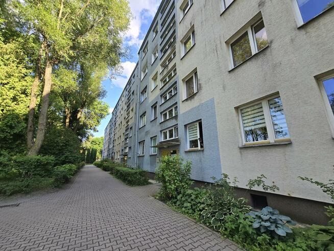Mieszkanie Kielce Sady, Jesionowa