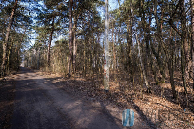 Działka leśna Otwock,
