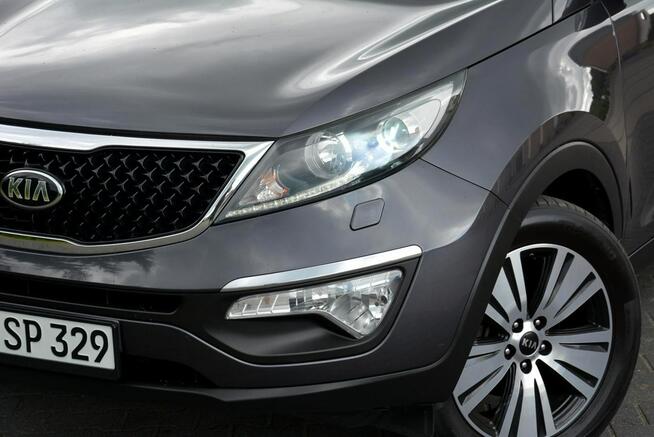 Lift Xenon Ledy Duża Navi Skóry Kamera 2xParktr Alu18" ASO Kia
