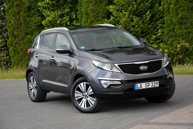 Lift Xenon Ledy Duża Navi Skóry Kamera 2xParktr Alu18" ASO Kia