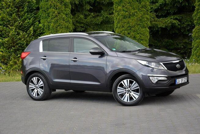Lift Xenon Ledy Duża Navi Skóry Kamera 2xParktr Alu18" ASO Kia