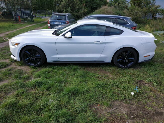Syndyk sprzeda Ford Mustang