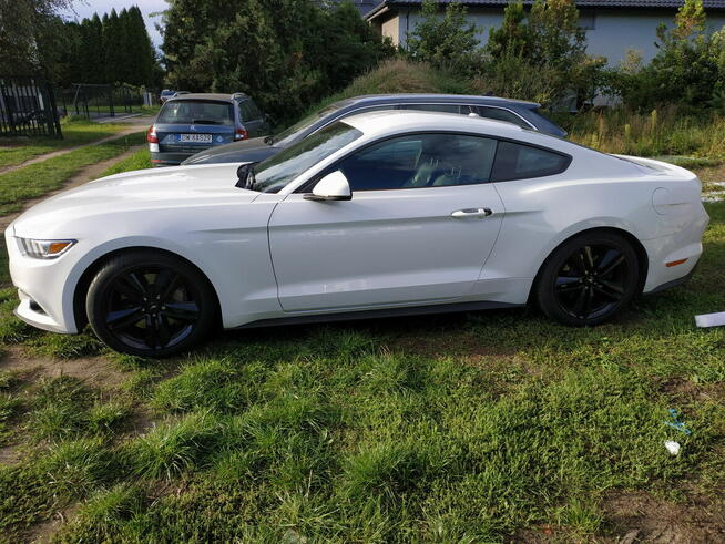 Syndyk sprzeda Ford Mustang