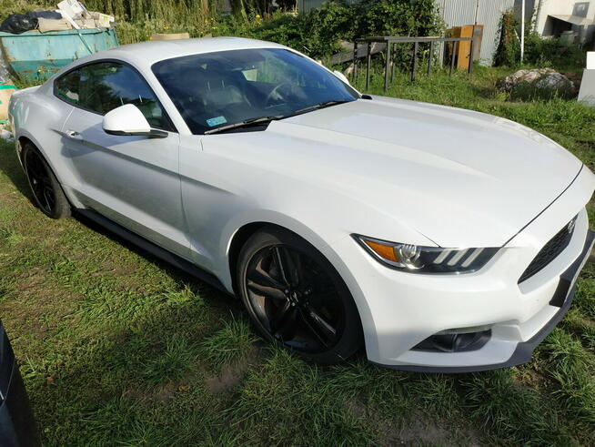 Syndyk sprzeda Ford Mustang