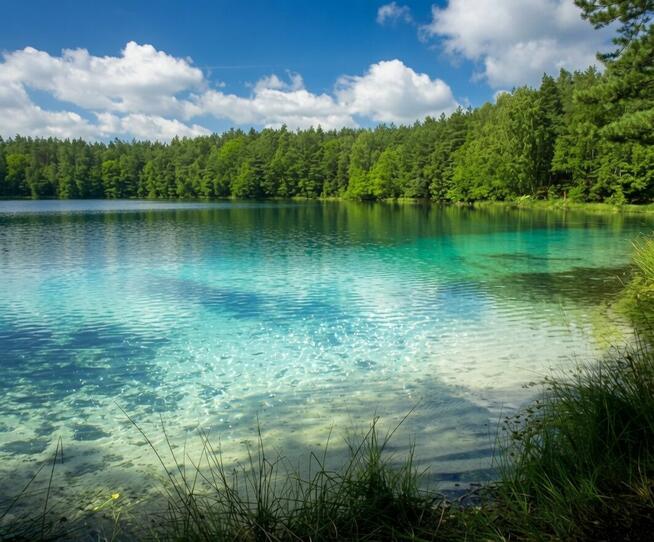 Działka budowlana nad jeziorem Narie 1250 ha