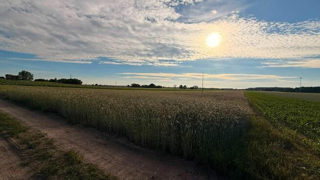 PIOTROWICE | 79 ARÓW | MPZP