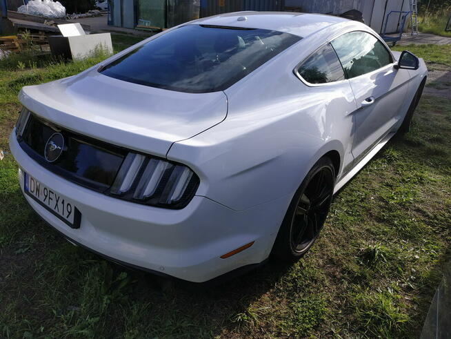 Syndyk sprzeda Ford Mustang