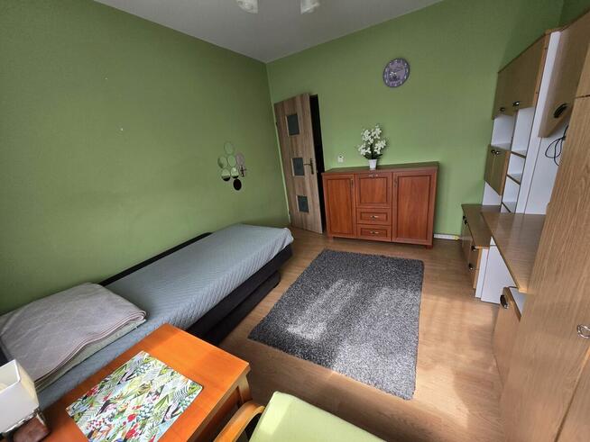 Pokoje do wynajęcia, Żory