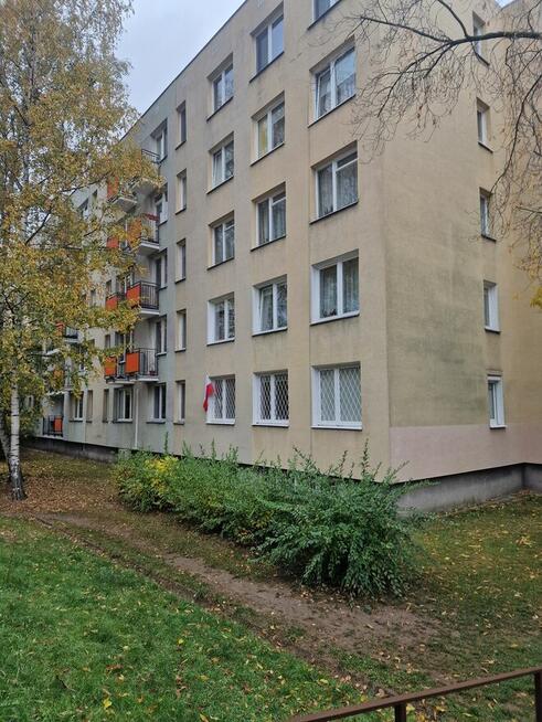 Przytulne mieszkanie w spokojnej okolicy